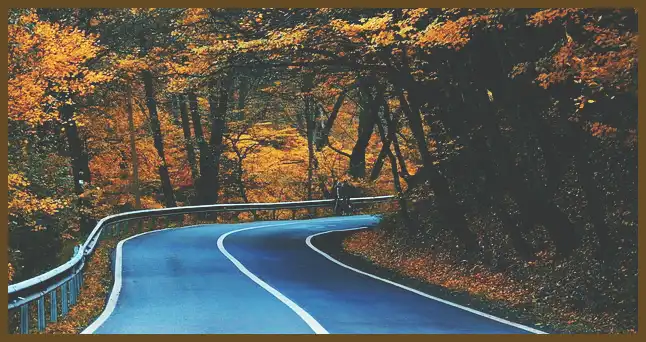 서울 근교 단풍 명소 (지금이 단풍 절정시기)