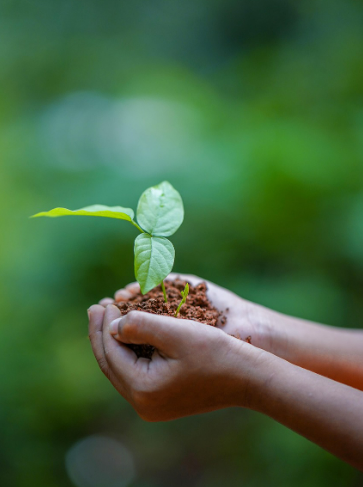 IT 기술로 지구를 구하다 관련 사진