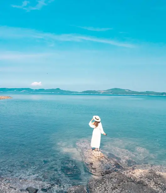 민어도