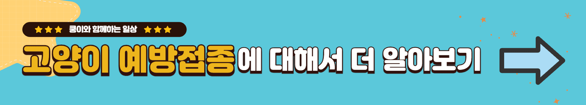 고양이 예방접종에 대해 더 알아보기