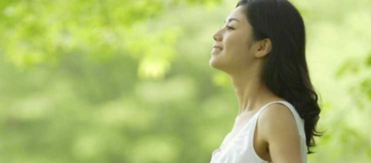 연근 효능 - 심신안정