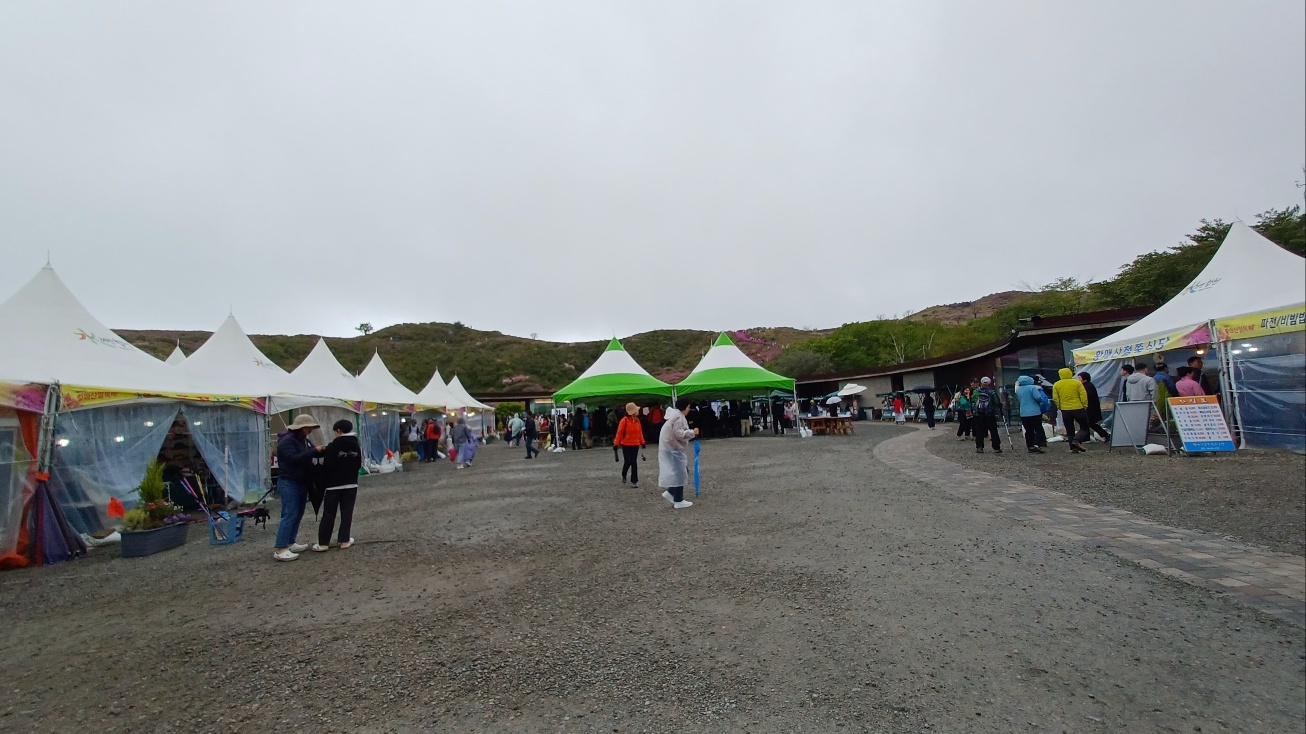 황매산 철쭉축제1