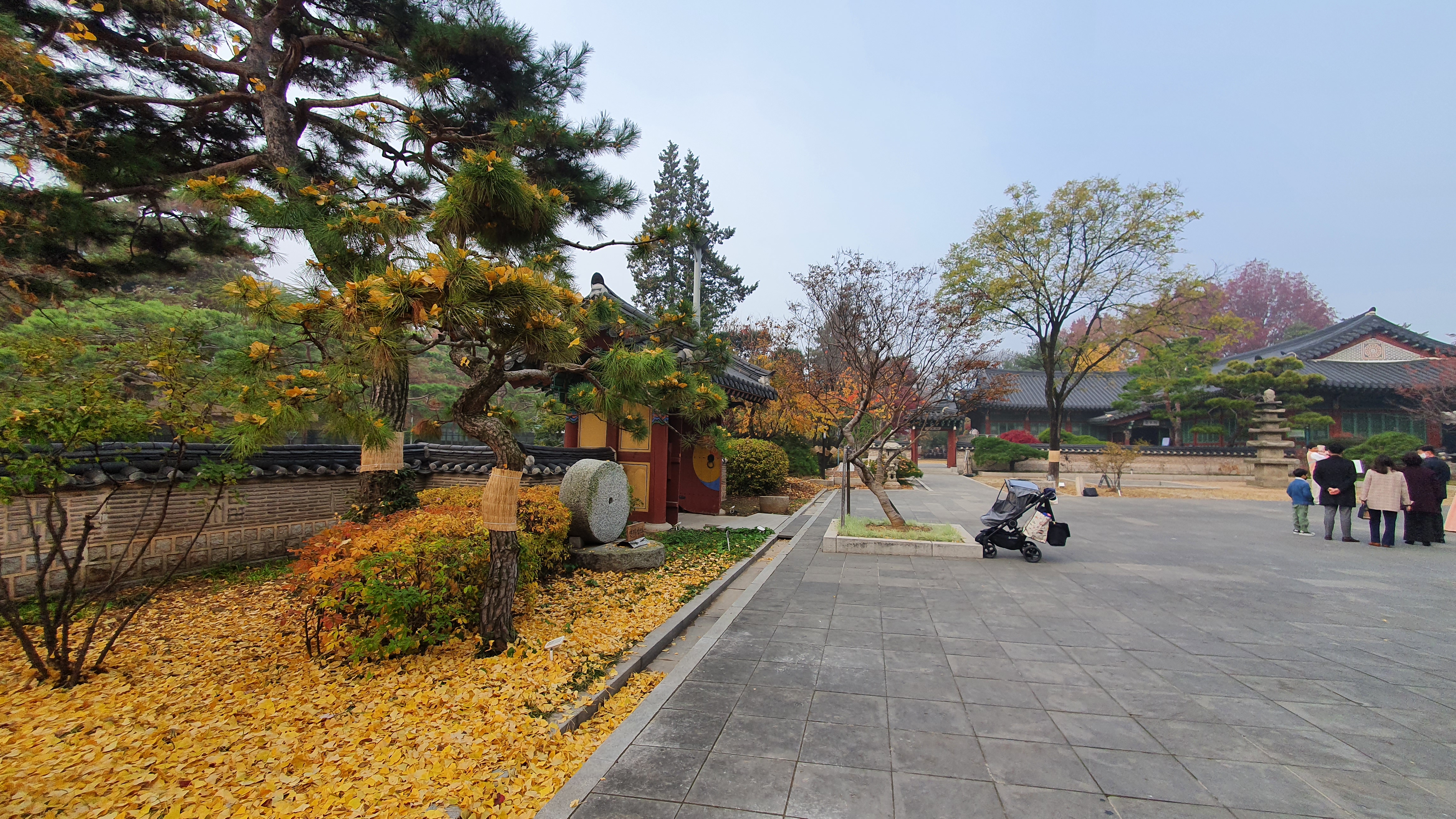 11월 인사말 모음집