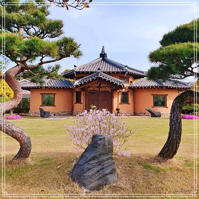 생방송오늘저녁 대한민국 보물 정원 추천 전남 보성 매화, 사슴 농원, 과수원 체험 추천 여행 가볼만한 곳