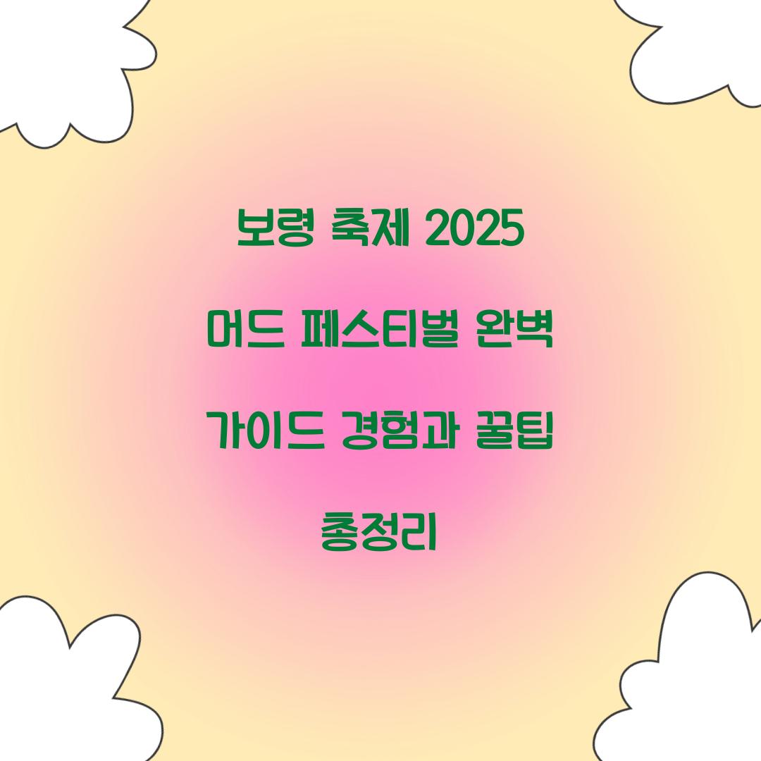 보령 축제 2025 머드 페스티벌