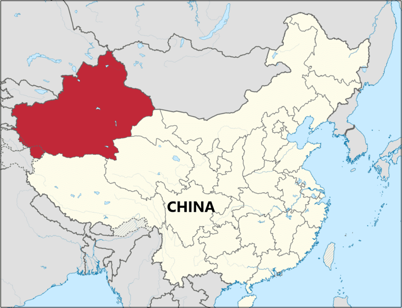 미&#44; 중국 신장위구르산 제품 수입 전면 금지 VIDEO: New evidence of Uighur forced labour in China’s cotton industry