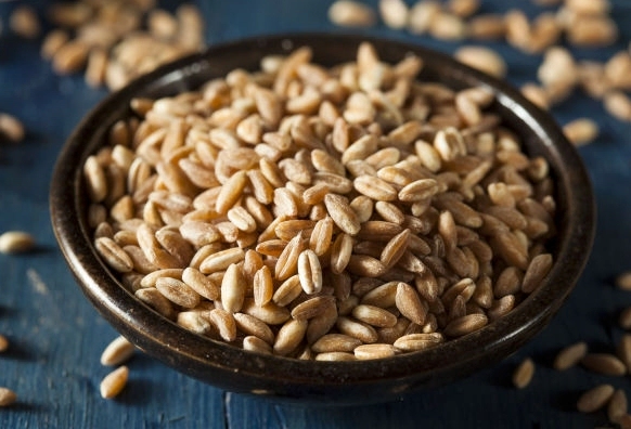 파로 곡물 효능 밥짓기 먹는법 가격 | 장영란 뱃살관리 파로 곡물 활용법