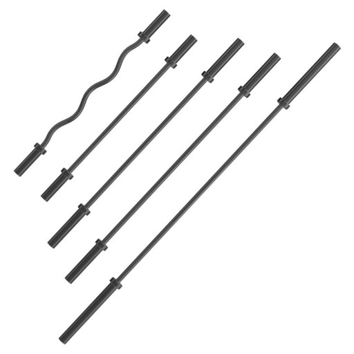 여러가지 바벨봉의 모습