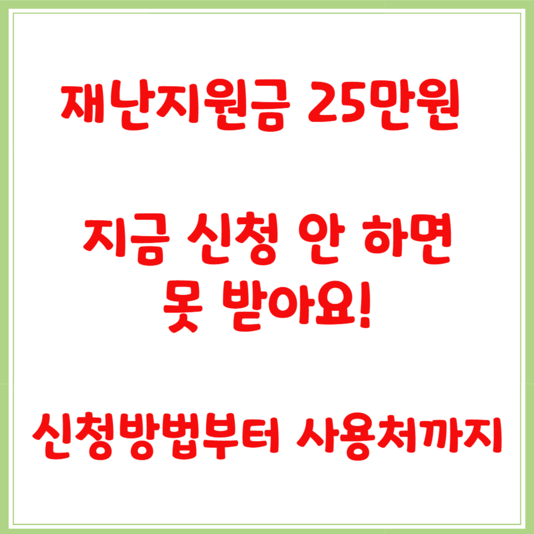재난지원금 25만원 지금 신청 안 하면 못 받아요! 신청방법부터 사용처까지