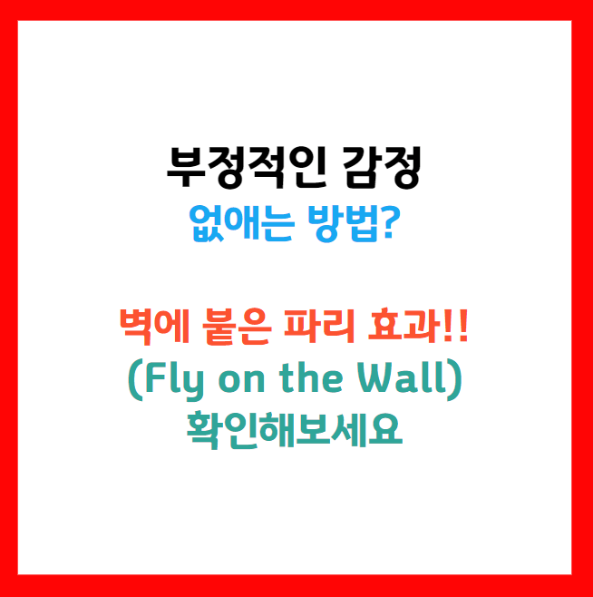 벽에 붙은 파리 효과