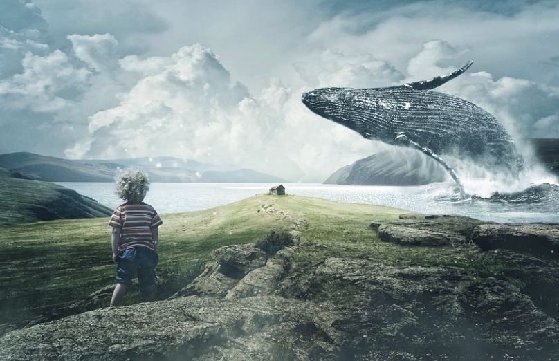 고래와 소년