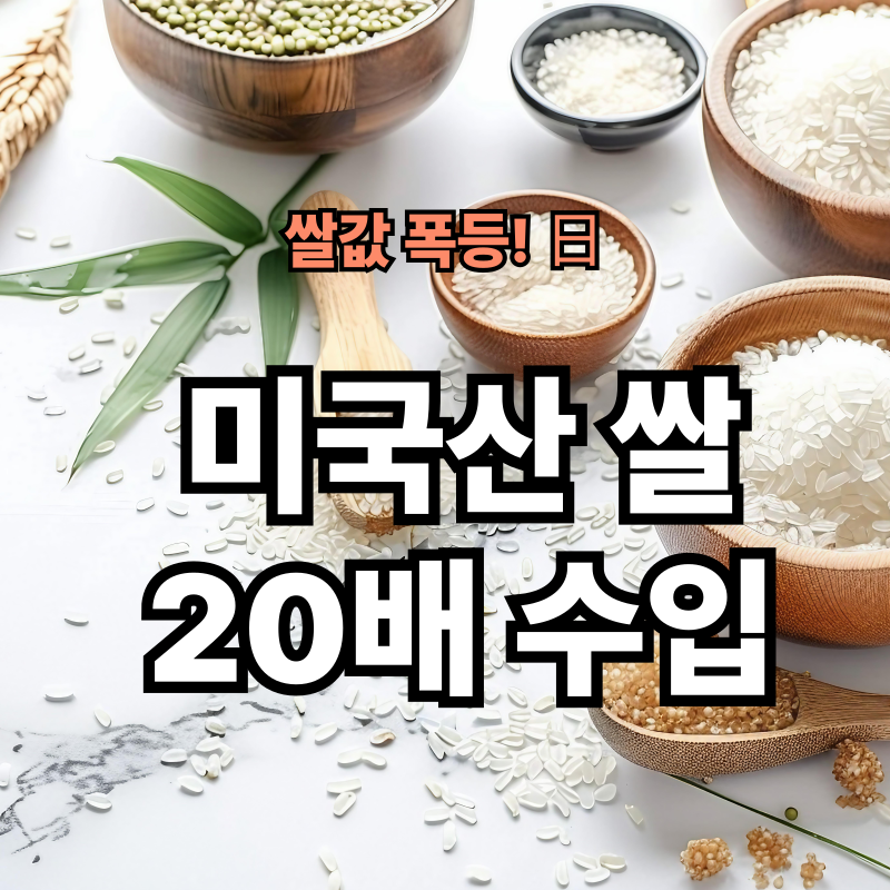 일본 수입쌀 급증, 2025년 20배 증가…글로벌 경제는 어떻게 반응할까?
