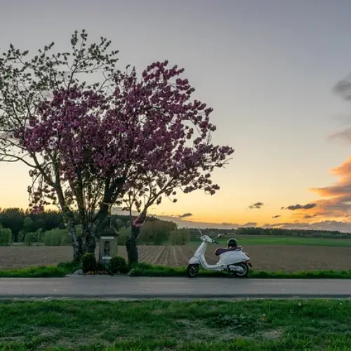 울릉도 울릉크루즈