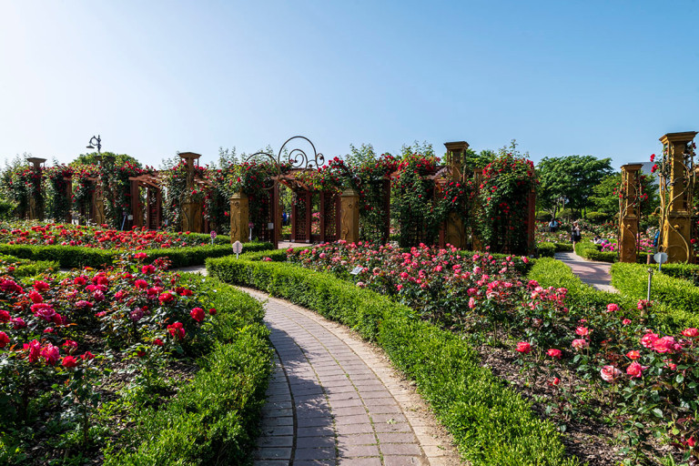 대전 한밭수목원 사진