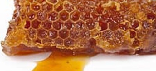 프로폴리스 이미지