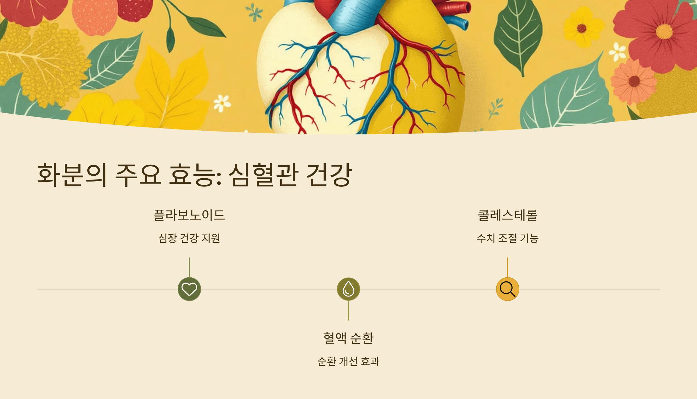 화분 사진입니다.