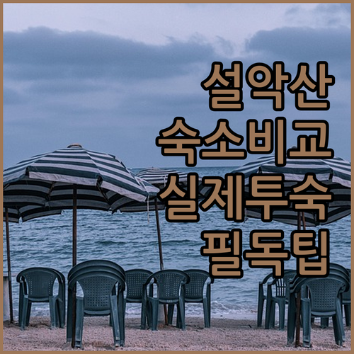 설악산 국립공원 주변 숙소 분석 켄싱..
