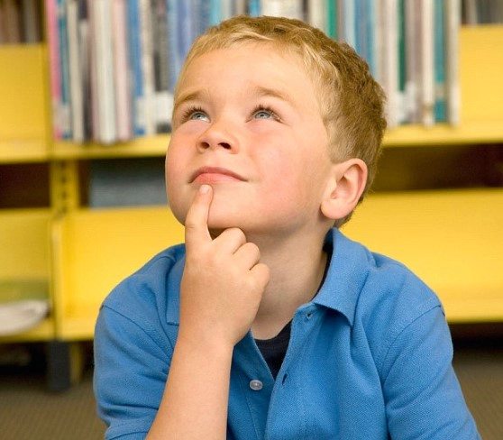 경계성 지능장애 검사 방법과 비용