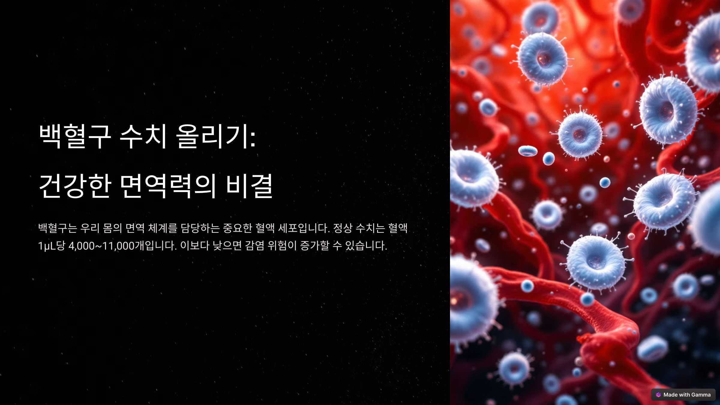백혈구 수치 올리는 효과적인 방법 음식 알아보기
