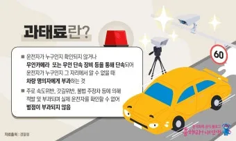 범칙금과 과태료의 차이한눈에 비교하기로_18