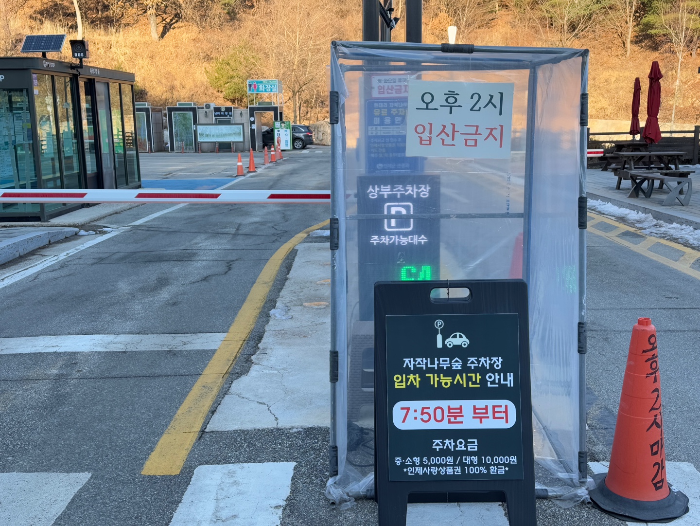 인제 자작나무숲