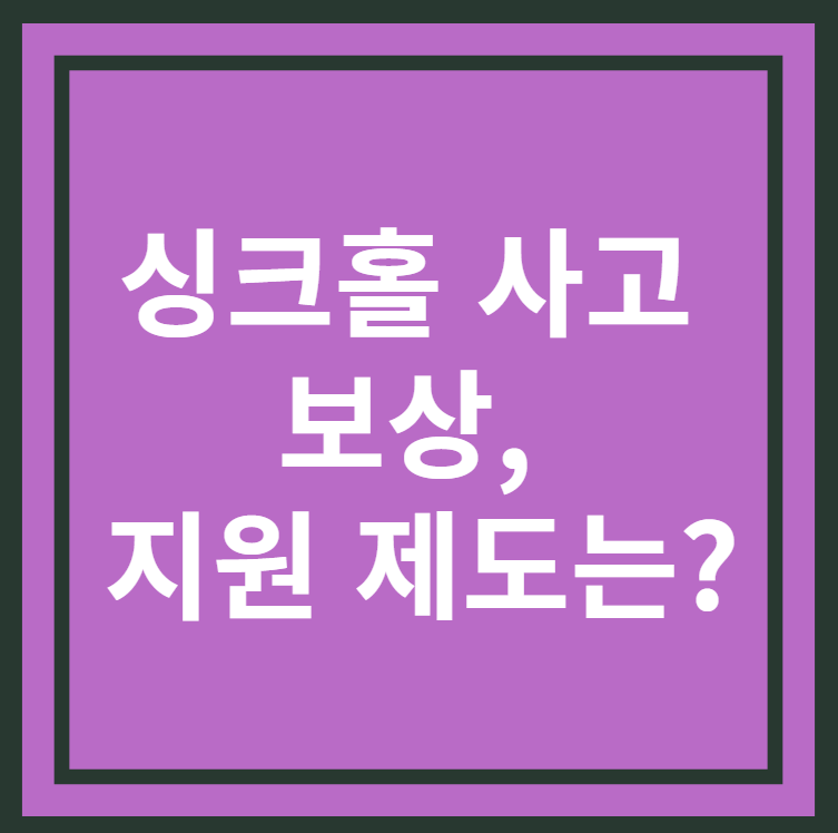 싱크홀 지원제도