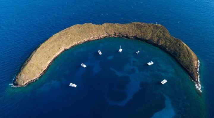 몰로키니섬의 스노클링 투어