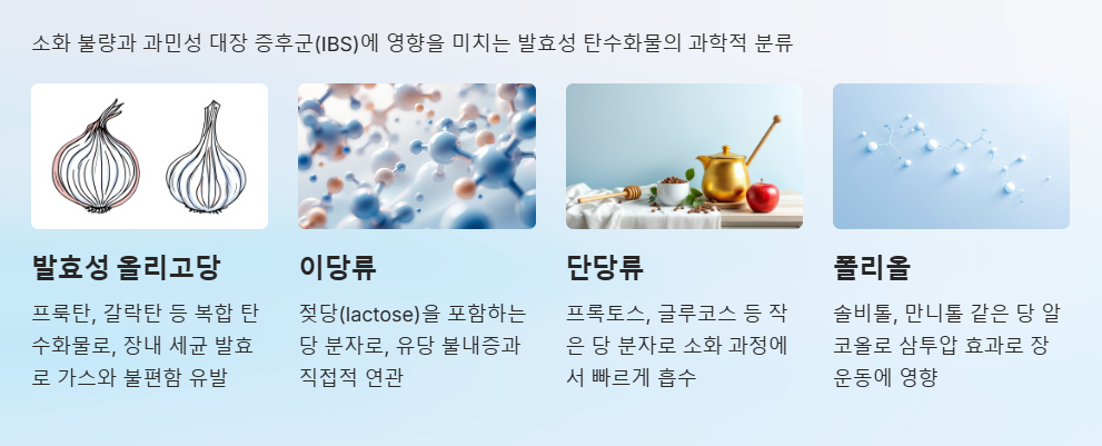 포드맵