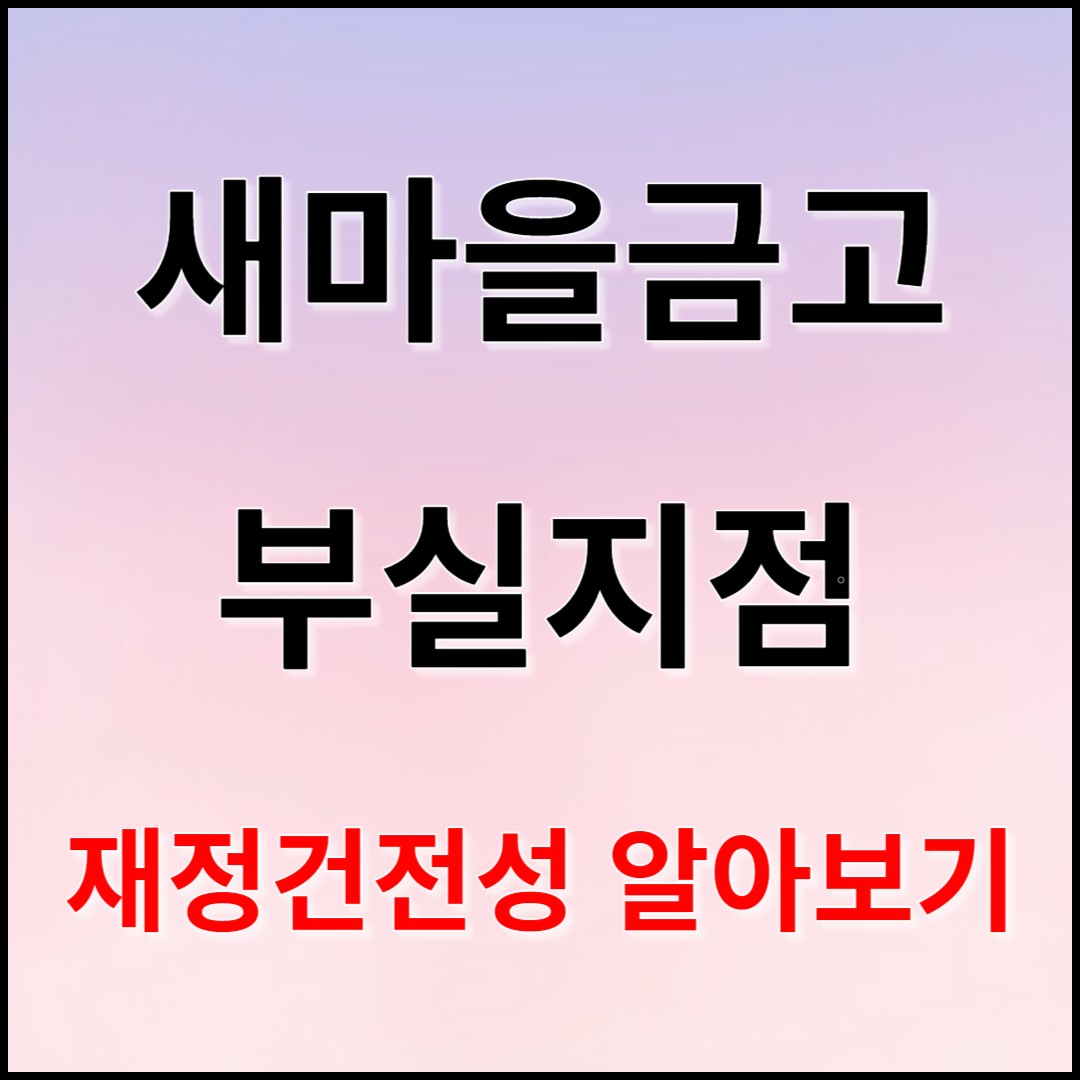 새마을금고 부실