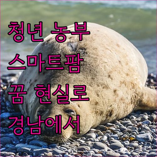 청년 농부의 꿈 경남 스마트팜에서 현