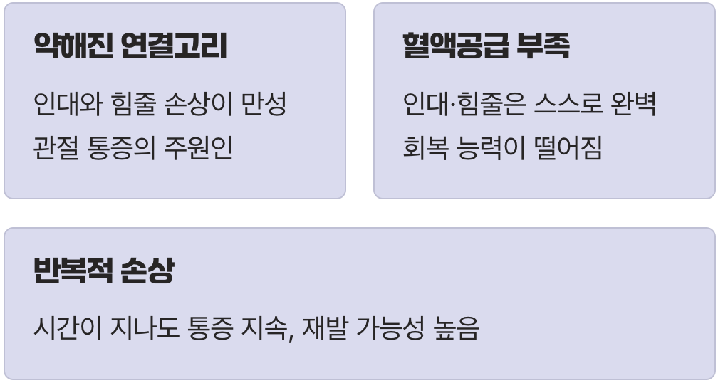 통증의 진짜 범인&amp;#44; 약해진 &amp;#39;연결 고리&amp;#39;