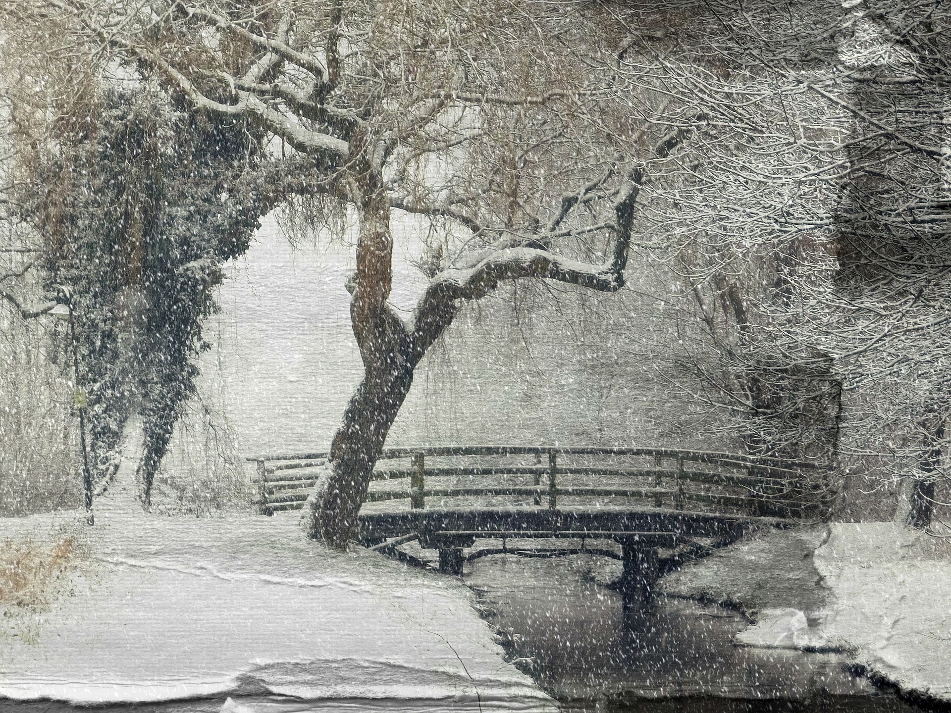 눈내리는 겨울의 풍경