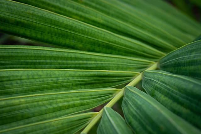 탄소중립 실천포인트 가입&middot;적립&middot;입금