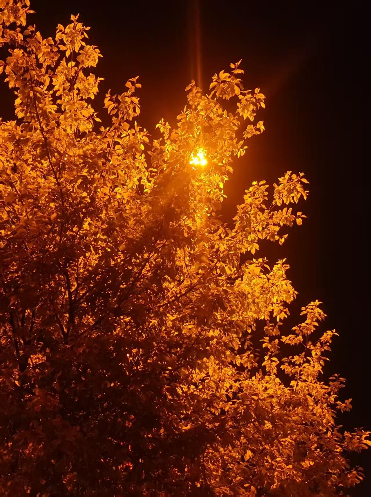 숙면에 도움되는 영상