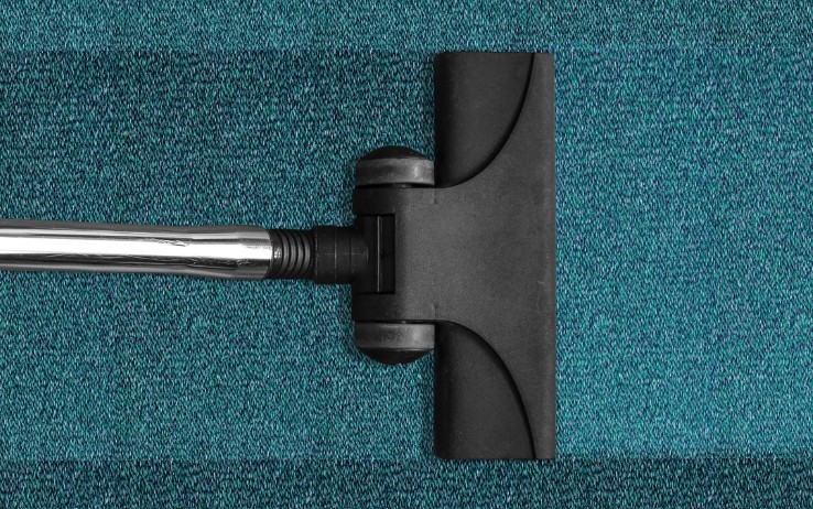 러브버그 퇴치법, 예방법