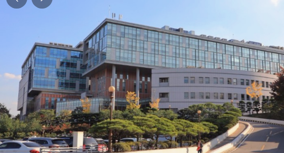 2024년 대한민국 의과대학순위 TOP10