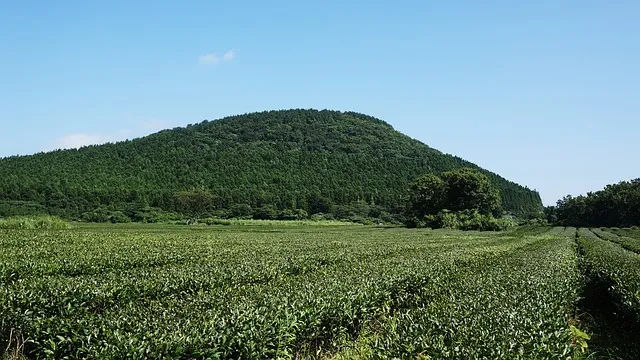 제주 숙박 예약 사이트_5