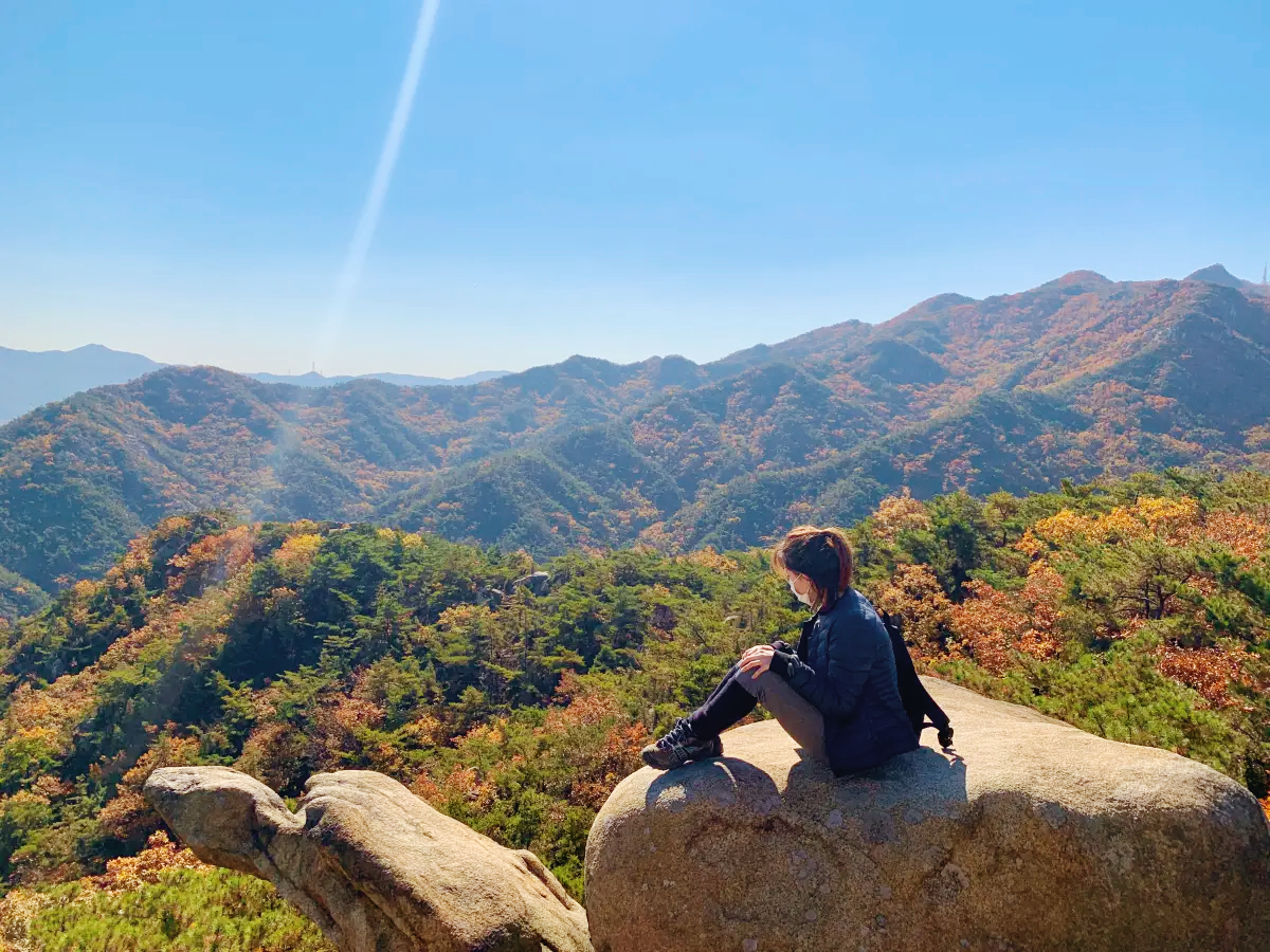관악산-10월말-단풍-현재상황