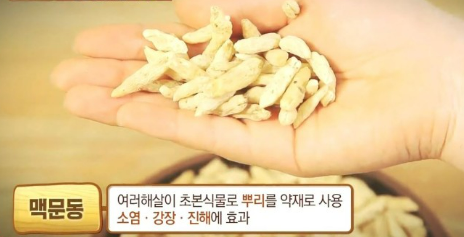 맥문동 효능