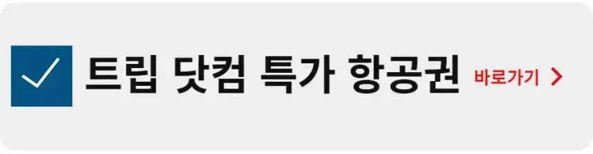 트립 닷컴 특가 항공권