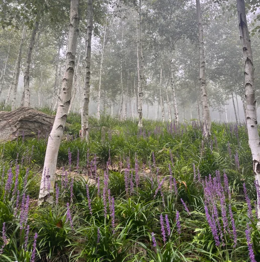 화담숲 예약&amp;#44; 가을 단풍축제 