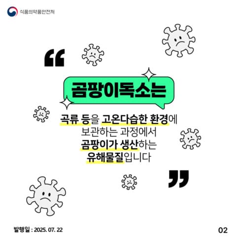 곰팡이 독소, 침묵의 위협! 꼭 알아야 할 예방법