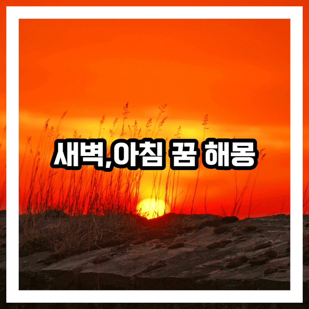 새벽 꿈 ,밤에 관한 꿈 해몽