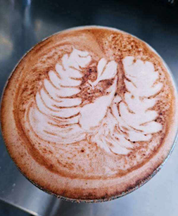 라떼아트 백조날개