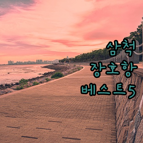 여름 휴가 맞이 삼척 장호항 주변 베..