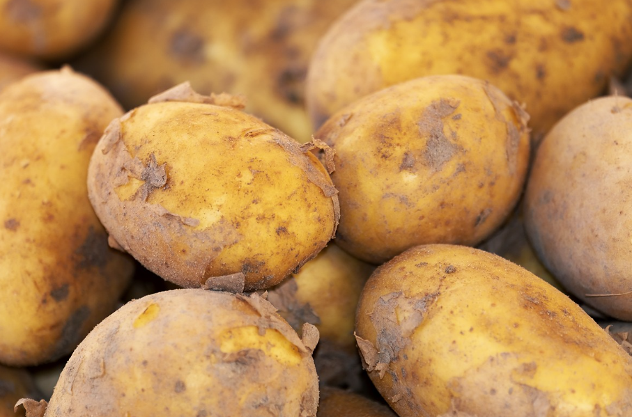 팔꿈치 색소 침착