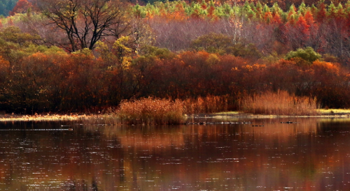 운곡람사르습지 저수지 가을풍경
