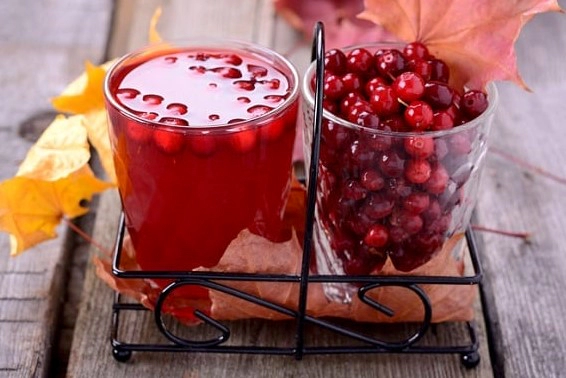 링곤베리 퓨레 쥬스 만들어 먹는법