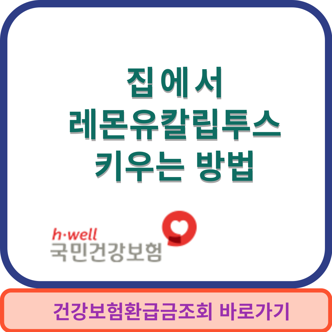 레몬유칼립썸네일