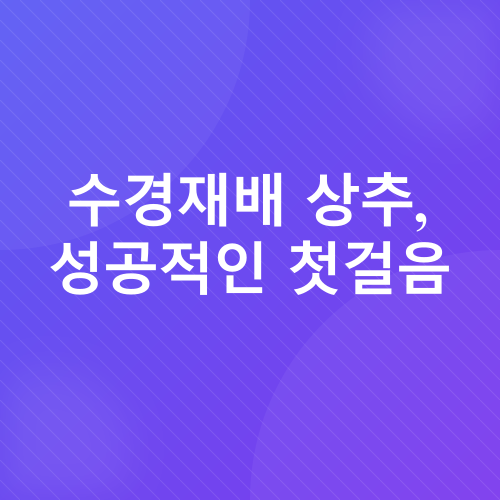 수경재배 상추 키우기_3